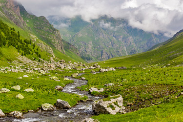 Similar image 21542749