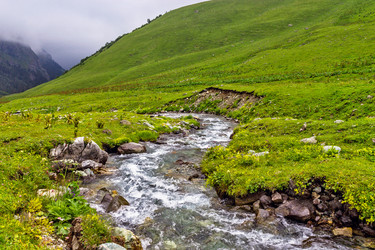 Similar image 21542799