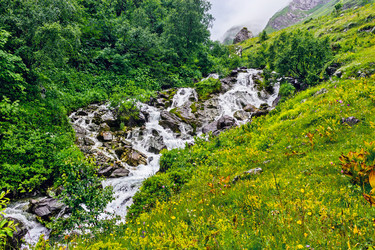 Similar image 21542800