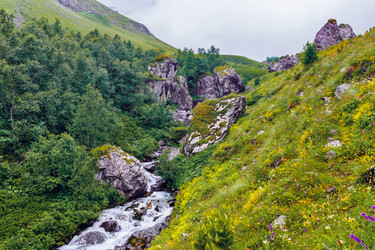 Similar image 21542803