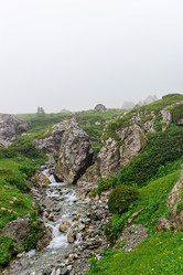 Similar image 21542808