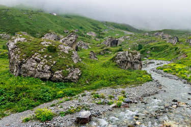 Similar image 21542810