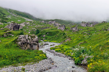 Similar image 21542811