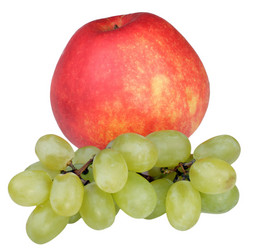 Similar image 21542930