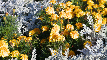 Similar image 21542941