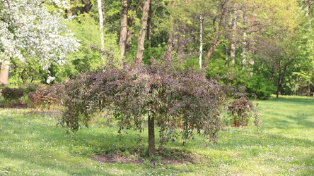 Similar image 21542943