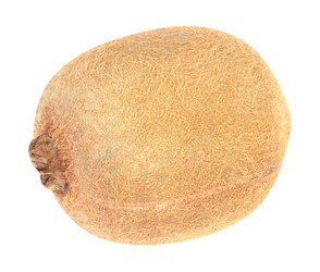 Similar image 21542944