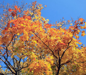 Similar image 21542949