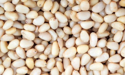 Similar image 21542954