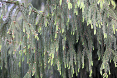 Similar image 21542955