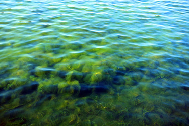 Similar image 21542962