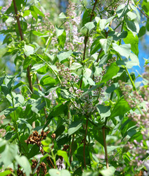 Similar image 21542968