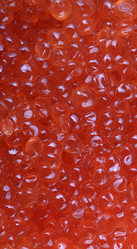 Similar image 21542969