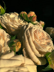 Similar image 21545099