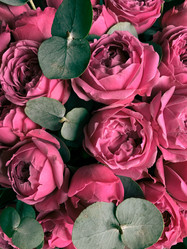 Similar image 21542971