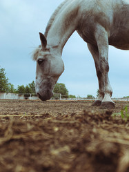 Similar image 21542972