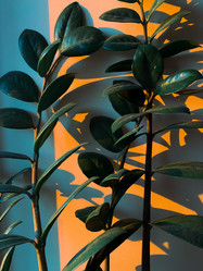 Similar image 21542974