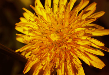 Similar image 21543004