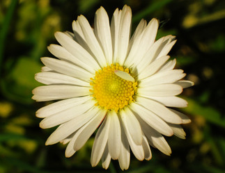 Similar image 21543005