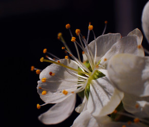 Similar image 21543006