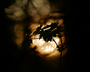 Similar image 21548078