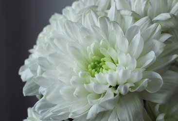 Similar image 21543010