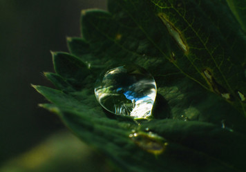 Similar image 21548082