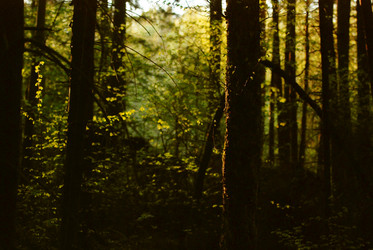 Similar image 21548083