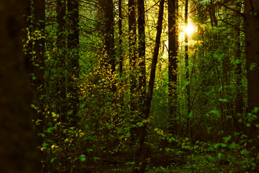 Similar image 21548084