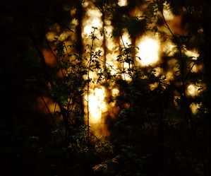 Similar image 21548085