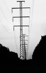 Similar image 21543013