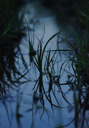 Similar image 21548086