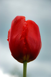 Similar image 21543016