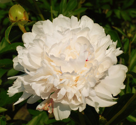 Similar image 21543018