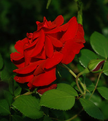 Similar image 21548087