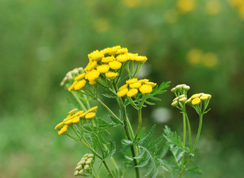 Similar image 21543019