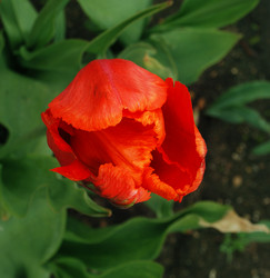 Similar image 21543026