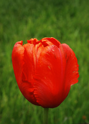 Similar image 21543027