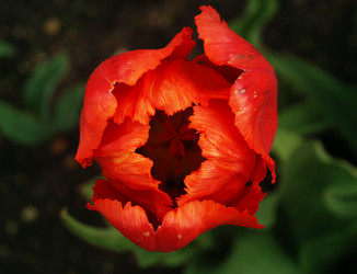 Similar image 21543028