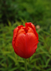 Similar image 21543029