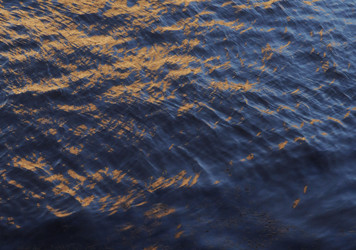 Similar image 21548093