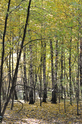 Similar image 21543272