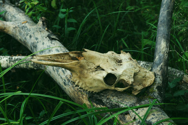 Similar image 21548095