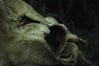 Similar image 21548096