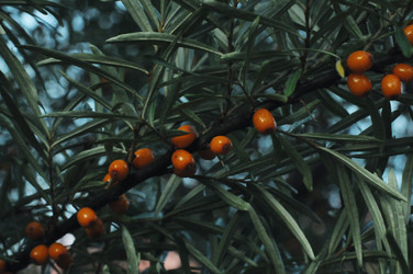 Similar image 21548097