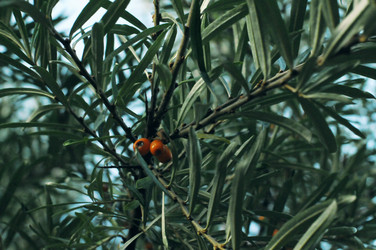 Similar image 21548098