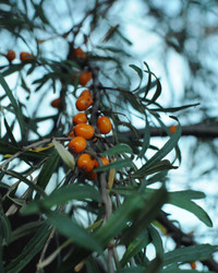 Similar image 21548099