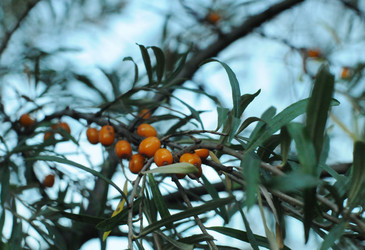 Similar image 21548100