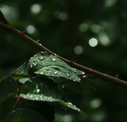 Similar image 21548102