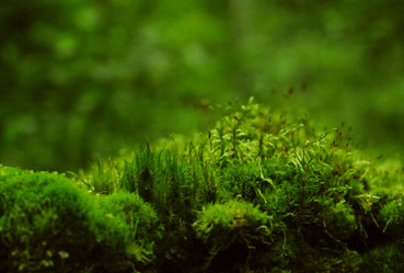 Similar image 21548107